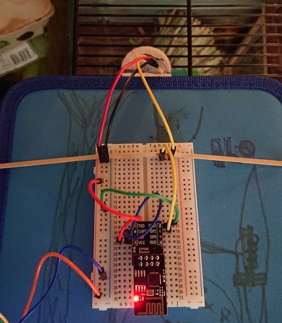 ESP8266 in action